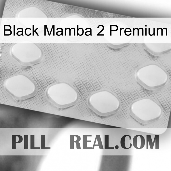 Black Mamba 2 Premium 16.jpg